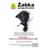 �abka pomaga ratowa� zwi�rz�ta