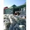 Carlsberg dba o �rodowisko